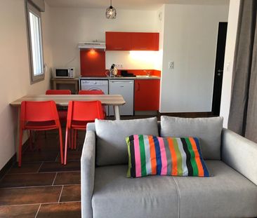 Location Appartement 2 pièces 40m² ALBI 81000 - Photo 3