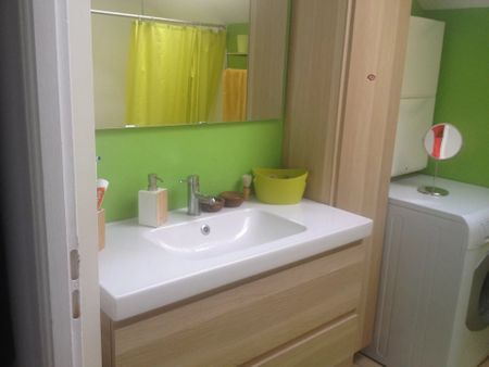 Location Appartement 3 pièces 65m² SALLANCHES 74700 - Photo 5