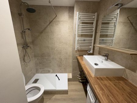 APPARTEMENT T2 MEUBLE A ROANNE - ALBERT THOMAS - Photo 4