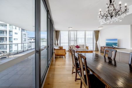 Loved by the Owner – Spacious, Quiet & Comfortable - Photo 4