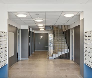 Greta Arwidssons Gata, Visby - Photo 5