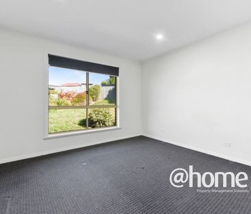 Beauty on Bordin - Photo 6