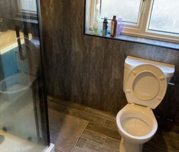 Large Ground Floor Room – Brynmill - Photo 6