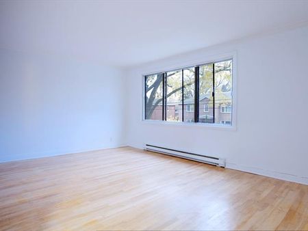 6337 Av. MacDonald - Photo 2
