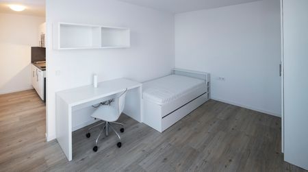 Vollmöbliertes 1-Zimmer-Apartment mit fantastischer Aussicht sucht Mieter auf Zeit - Foto 5