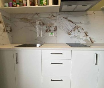 Spacious Furnished Ensuite with Kitchenette - Photo 2