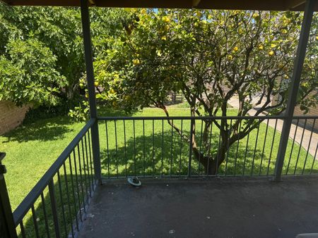 Bentleigh East - Photo 4