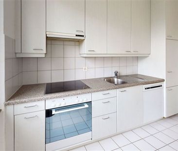 3.5 Zimmer, EG - Photo 5