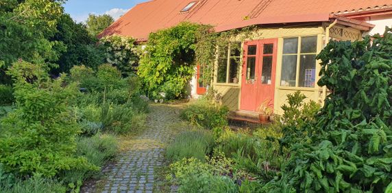 Rum for uthyrning i ett gammalt hus med trädgård mellan Lund och Malmö nära Alnarp (SLU) - Foto 2