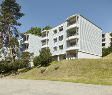 Sonnige, ruhige Lage in schöner Überbauung - Photo 3