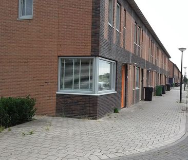 Boomvalk 19 - Photo 3