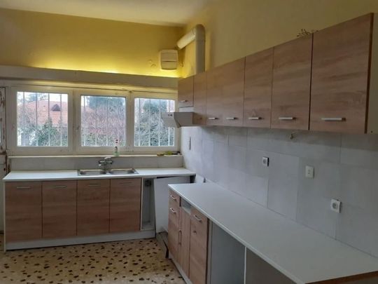 Μονοκατοικία για ενοικίαση Άνοιξη - Photo 1