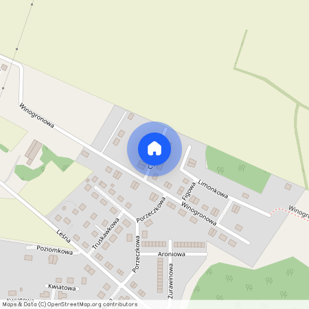 ul. Porzeczkowa, Radzyny, Kaźmierz, szamotulski, wielkopolskie