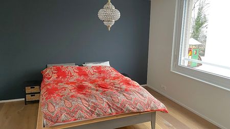 4½ Zimmer-Wohnung in Grüningen (ZH), möbliert, auf Zeit - Photo 2