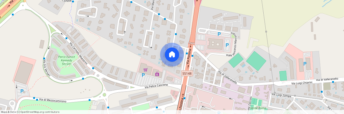 Domino Finance, Via Giovanni Gastaldi 42, 00128 Rome RM, Italy