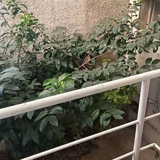 Διαμέρισμα για ενοικίαση Κορυδαλλός - Photo 1