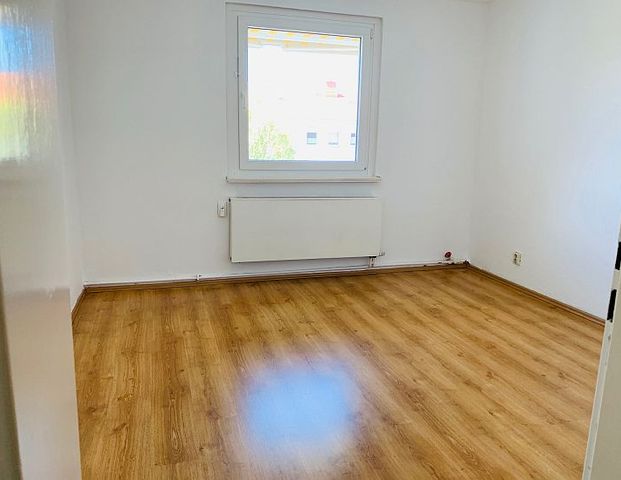 + 3 Zimmer zum Wohlfühlen + - Foto 1