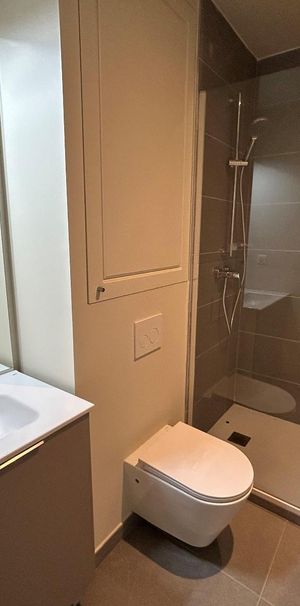 Location Appartement 1 pièce 29m² AGEN 47000 - Photo 1