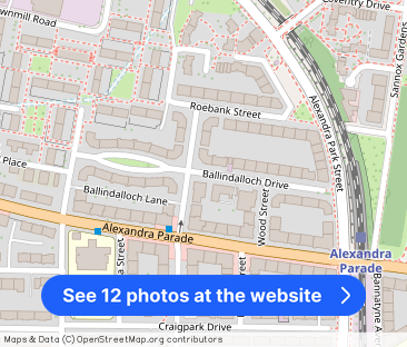 Ballindalloch Drive, Dennistoun, Glasgow - Photo 1