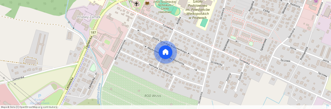 ul. Władysława Stanisława Reymonta, Pniewy, Pniewy, szamotulski, wielkopolskie