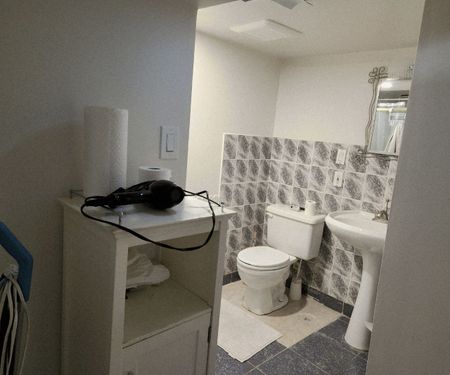 For Lease - 332 Homewood Avenue Unit# Lower, Toronto, Ontario - Photo 4