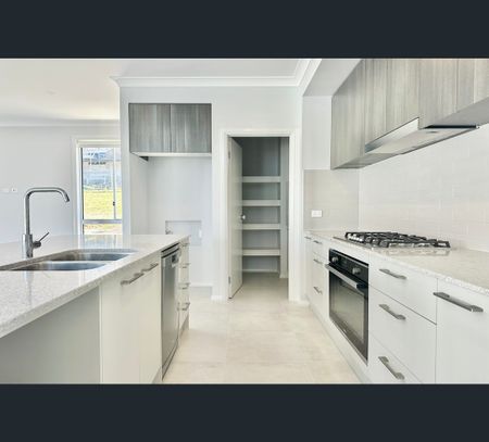 6 Jade Crescent, Diamond Beach, NSW 2430 - Photo 4