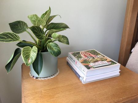 Main Beach - Photo 4