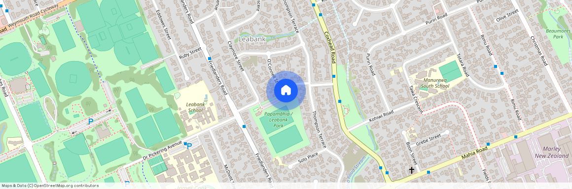 6A O'Connell Street, Manurewa