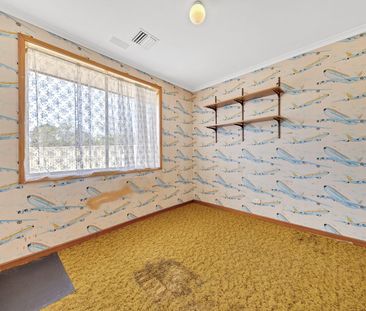 Massive Solar | Heating & Cooling | Outdoor Entertaining - Photo 1