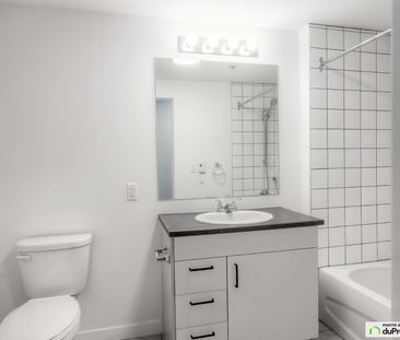 295, boulevard Saint-René Est, Gatineau (Gatineau) à louer - Photo 5