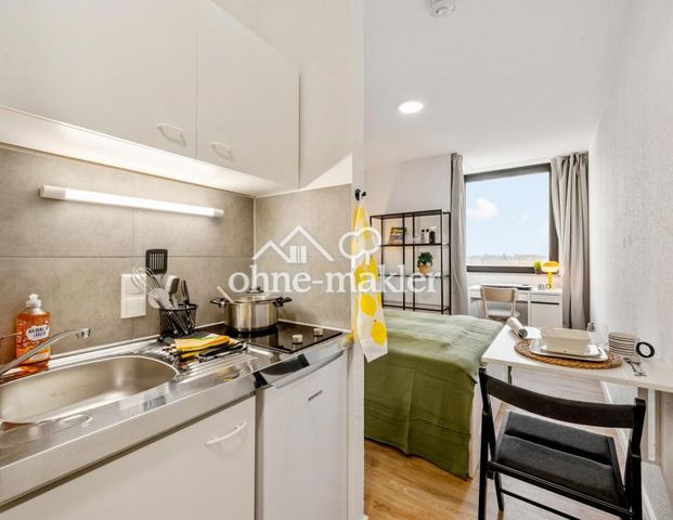 Moderne, helle, NEU renovierte, voll möblierte Wohg. + Haushaltsartikel + Fahrrad, Zentral in Mainz - Foto 1