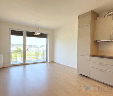 Pronájem bytu 2+kk 50 m² - Fotografie 3