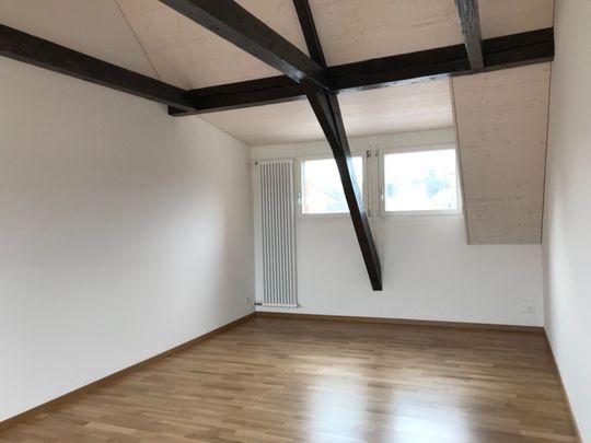 Grossbasel MFH Birsstrasse - Photo 1