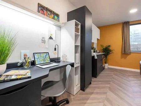 Standard Studio - Photo 4