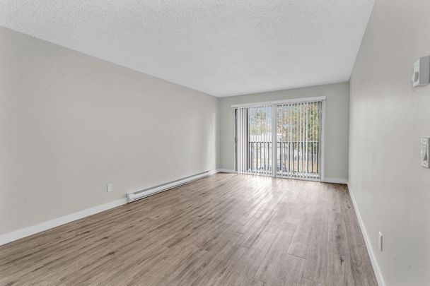 Cedar Green Apartments - Photo 1