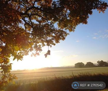 1 bedroom in a flat share to rent - Photo 2