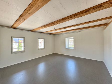 Exklusives 5.5 Zi. Haus an schöner Lage, Top ausgebaut - Foto 5