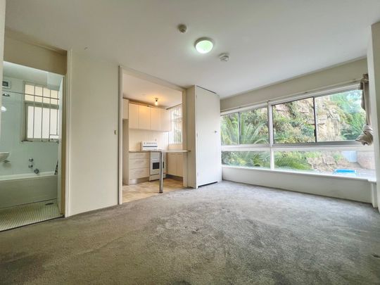7/51 Roslyn Gardens, Elizabeth Bay NSW 2011 - Apartment For Rent | Domain - Photo 1