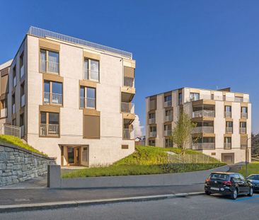 2.5 Zimmerwohnung mit Loggia - Photo 5