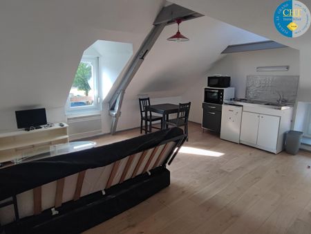 Location Appartement 1 pièce 18m² PLELAN LE GRAND 35380 - Photo 5