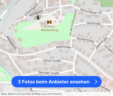 Wunderschöne Aussicht auf den Westerburger Schloss - Foto 1