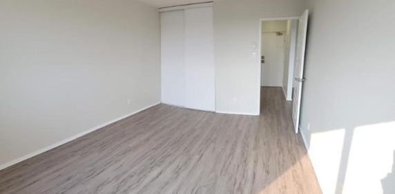 1 CH - 1 SDB - Gatineau - $1,595 /mo - Photo 2