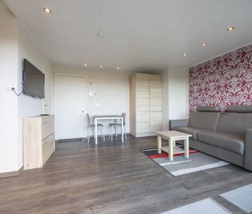 Instapklare studio met zonneterras te huur in Middelkerke - foto 1