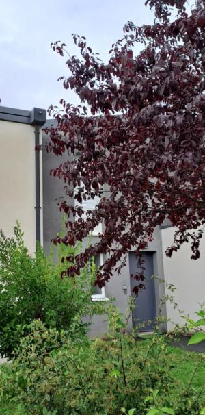 Location maison T3 77.57m² à Fere-Champenoise (51230) - Photo 2