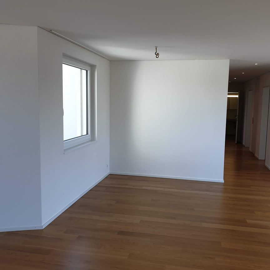 Spacious 4.5-Room Attic Apartment with Two Large Terraces in Dübendorf - Foto 1