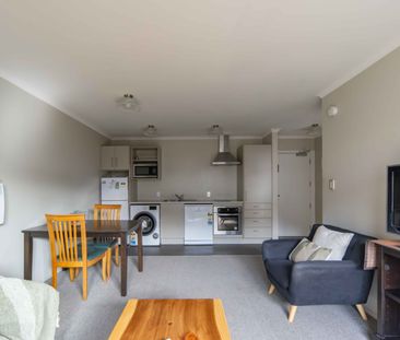 Furnished One Bedroom Apartment - Photo 3