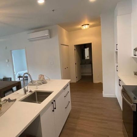 Grand 5 1/2 premier mois novembre à 1518$ droit aux animaux - Photo 4