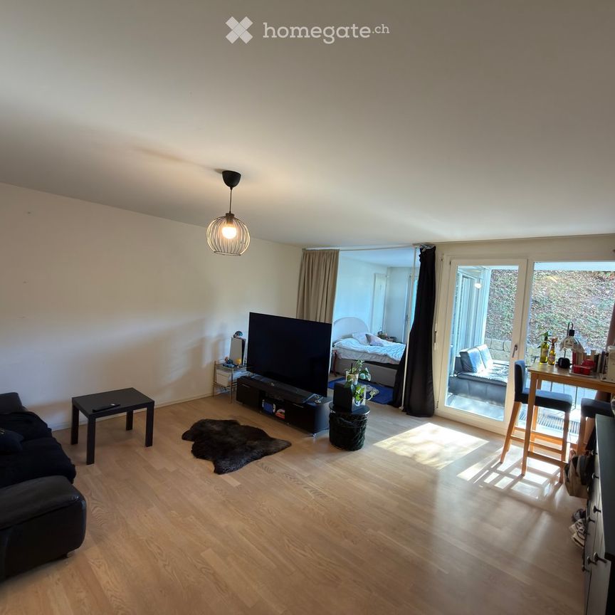 Nachmieter gesucht: Schöne, ruhige 1,5-Zimmer-Wohnung mit grosser Terrasse - Photo 1