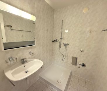 Très grand duplex de 6 pièces avec vue lac - Photo 5