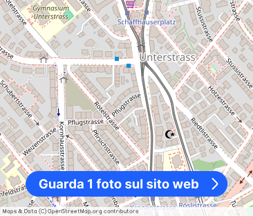 Modern apartment in the immediate vicinity of the Schaffhauserplatz - Foto 1